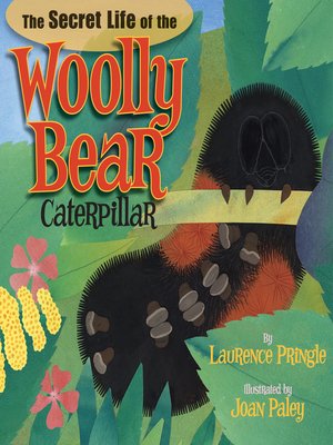 cover image of The Secret Life of the Woolly Bear Caterpillar